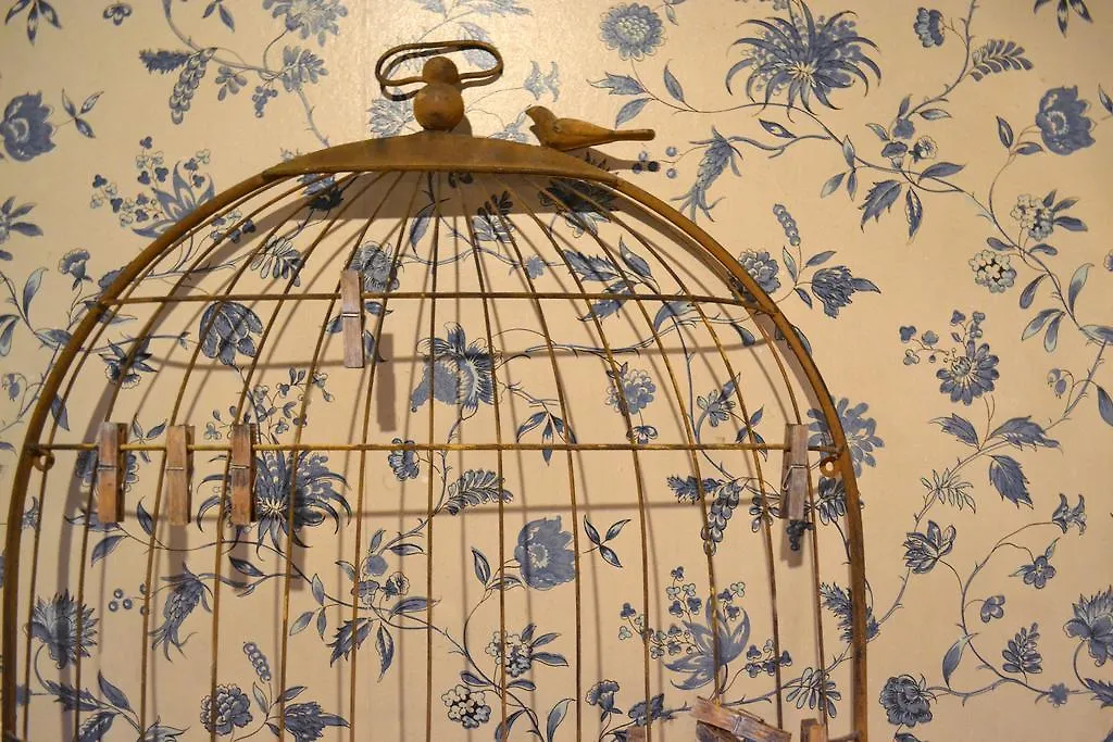 Babbo Guest House Rom